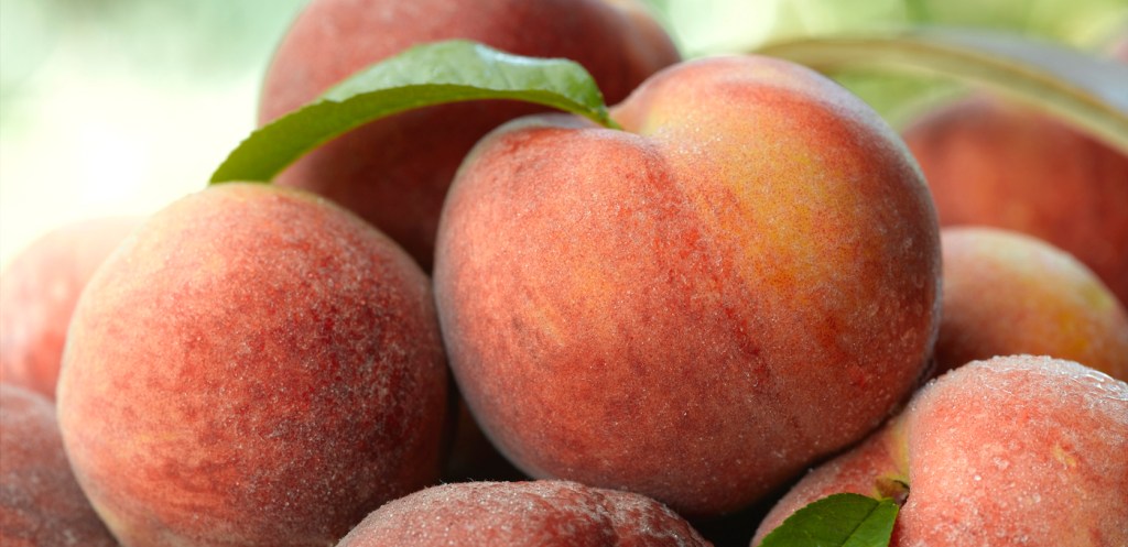 Week 3 Newsletter: Just&nbsp;Peachy